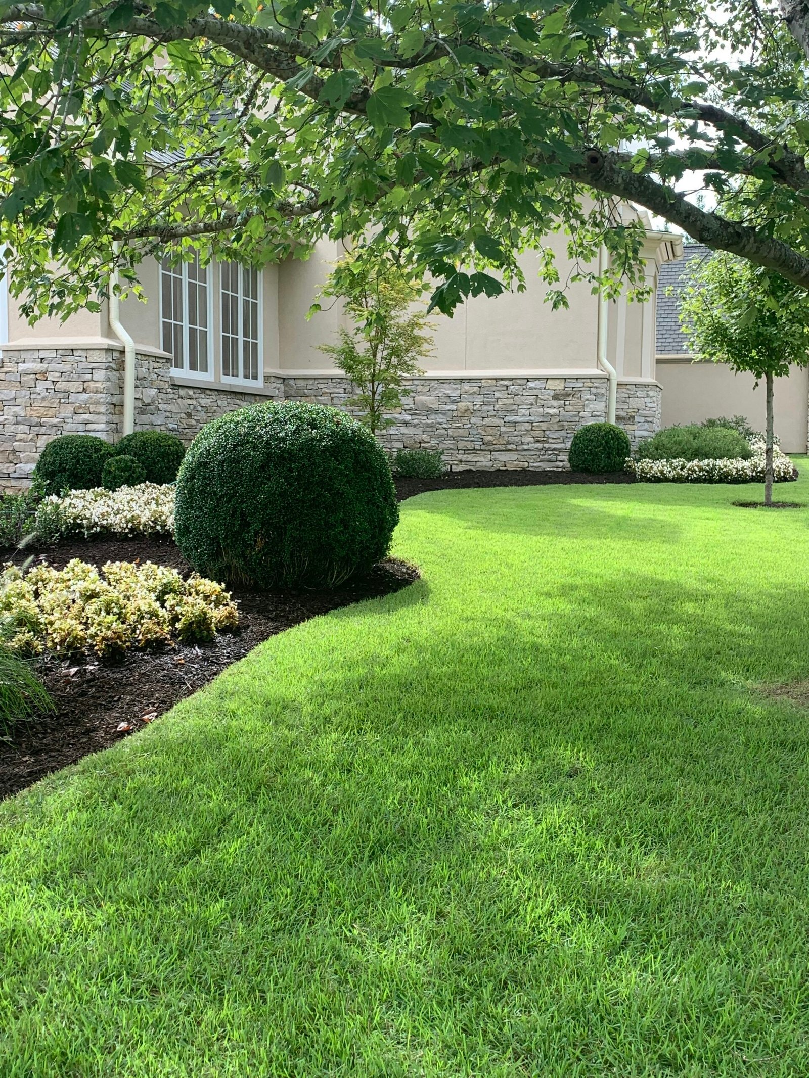 Landscaped yard with manicured shrubs at a Houston home